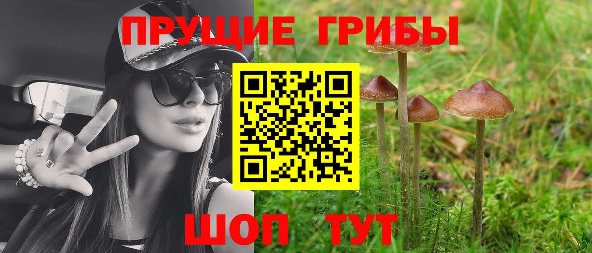 Псилоцибиновые грибы мицелий Ипатово